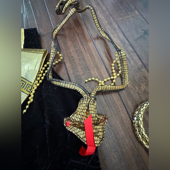 Spirit Black and Gold Exquisite Cleopatra Costume + Extras - Picture 5 of 6